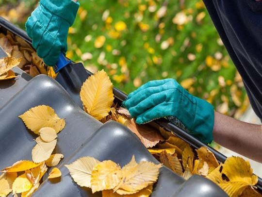 gutter-cleaning image